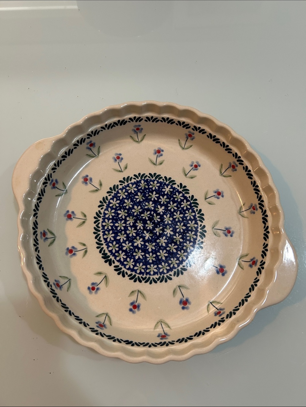 Gorgeous Floral Hand-Painted Poland Polish ceramic pie plate